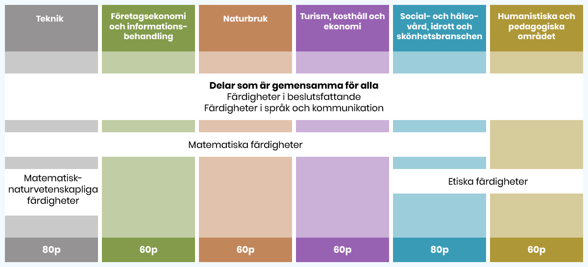Figur 1. Urvalsprovets delar och maximipoängen per utbildningsområde i gemensam ansökan hösten 2019.
Teknik: Färdigheter i beslutsfattande, Färdigheter i språk och kommunikation, Matematiska färdigheter och Matematisk-naturvetenskapliga färdigheter. Maximipoängen 80.
Företagsekonomi och informationsbehandling: Färdigheter i beslutsfattande, Färdigheter i språk och kommunikation och Matematiska färdigheter. Maximipoängen 60.
Naturbruk: Färdigheter i beslutsfattande, Färdigheter i språk och kommunikation och Matematiska färdigheter. Maximipoängen 60.
Turism, kosthåll och ekonomi: Färdigheter i beslutsfattande, Färdigheter i språk och kommunikation och Matematiska färdigheter. Maximipoängen 60.
Social- och hälsovård, idrott och skönhetsbranschen: Färdigheter i beslutsfattande, Färdigheter i språk och kommunikation, Matematiska färdigheter och Etiska färdigheter. Maximipoängen 80.
Humanistiska och pedagogiska området: Färdigheter i beslutsfattande, Färdigheter i språk och kommunikation och Etiska färdigheter. Maximipoängen 60.